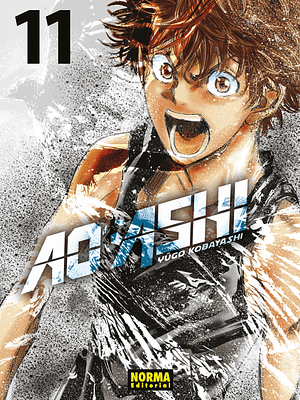 AO ASHI 11 - NORMA
