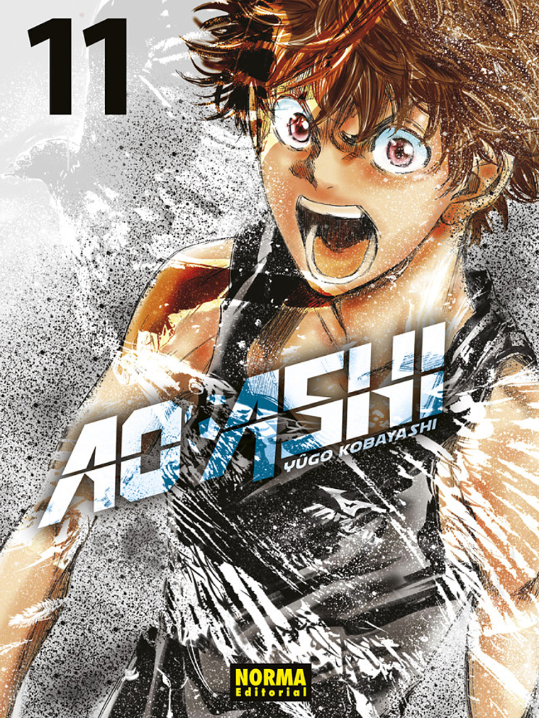 AO ASHI 11 - NORMA 1