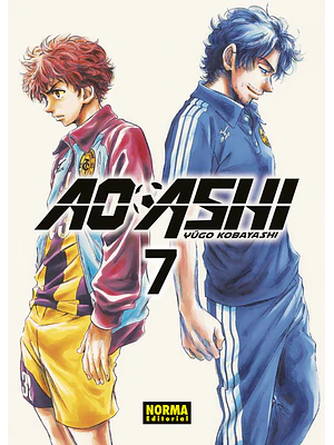 AO ASHI 07 - NORMA