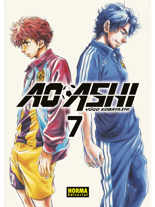 AO ASHI 07 - NORMA 1
