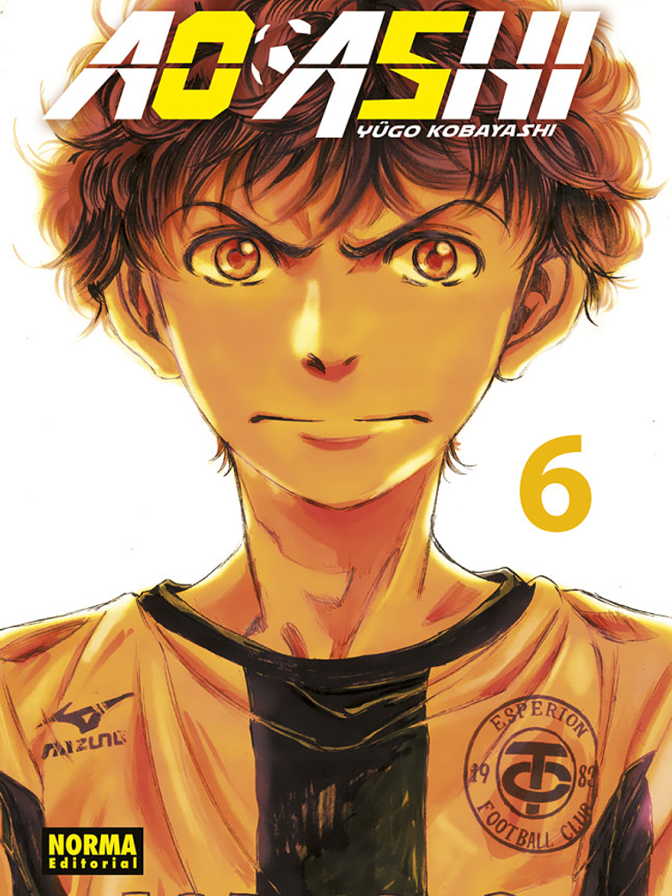 AO ASHI 06 - NORMA 1
