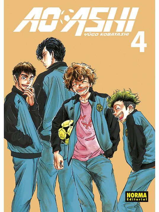 AO ASHI 04 - NORMA 1