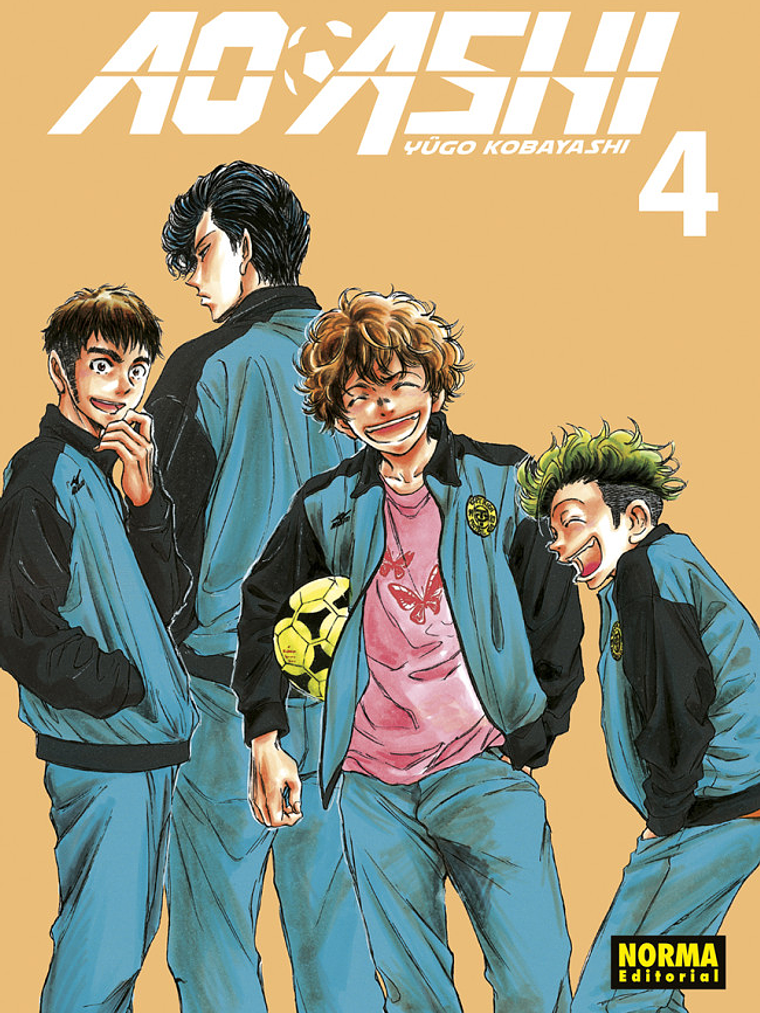 AO ASHI 04 - NORMA 1