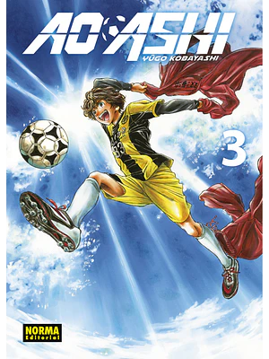 AO ASHI 03 - NORMA