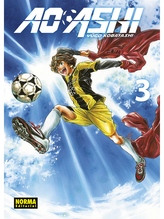 AO ASHI 03 - NORMA 1