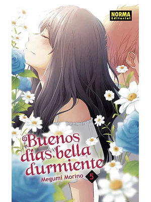 BUENOS DIAS BELLA DURMIENTE 05 - NORMA