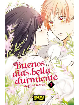 BUENOS DIAS BELLA DURMIENTE 03 - NORMA