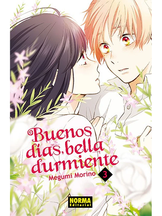 BUENOS DIAS BELLA DURMIENTE 03 - NORMA 1