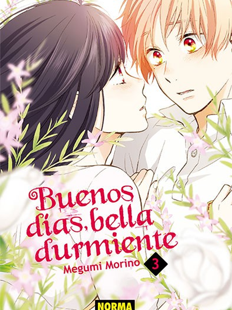 BUENOS DIAS BELLA DURMIENTE 03 - NORMA 1
