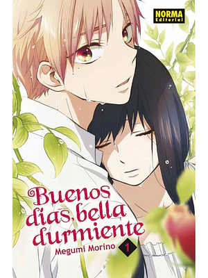BUENOS DIAS BELLA DURMIENTE 01 - NORMA