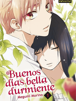 BUENOS DIAS BELLA DURMIENTE 01 - NORMA