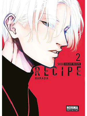 COLOR RECIPE 02 - NORMA