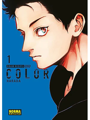 COLOR RECIPE 01 - NORMA