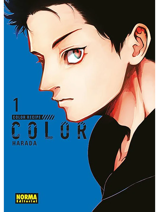 COLOR RECIPE 01 - NORMA 1