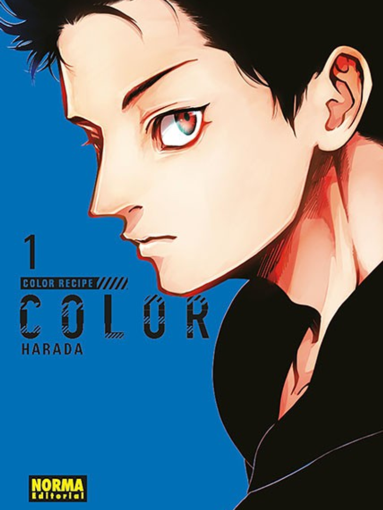 COLOR RECIPE 01 - NORMA 1