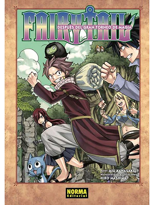 FAIRY TAIL. DESPUES DEL GRAN TORNEO DE LA MAGIA NOVELA - NORMA