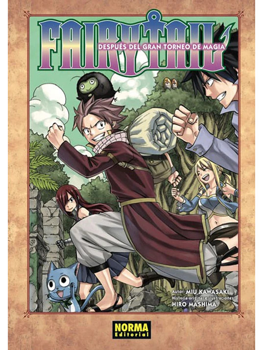 FAIRY TAIL. DESPUES DEL GRAN TORNEO DE LA MAGIA NOVELA - NORMA 1