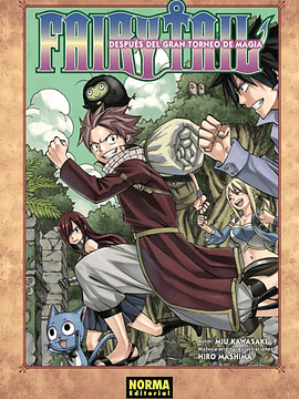 FAIRY TAIL. DESPUES DEL GRAN TORNEO DE LA MAGIA NOVELA - NORMA