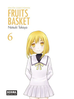 FRUITS BASKET ED. COLECCIONISTA 06 - NORMA