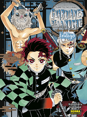 GUARDIANES DE LA NOCHE LIBRO PARA COLOREAR êNDIGO - NORMA