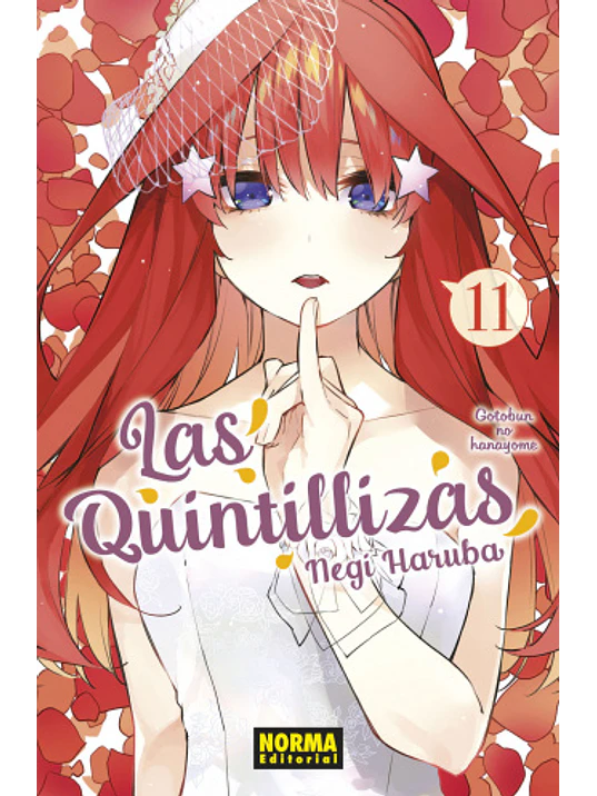 LAS QUINTILLIZAS 11 - NORMA 1