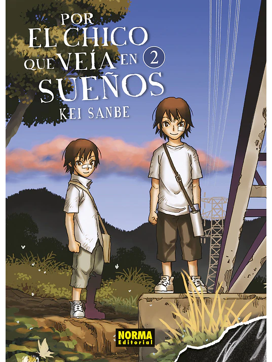 POR EL CHICO QUE VEIA EN SUENOS 02 - NORMA 1