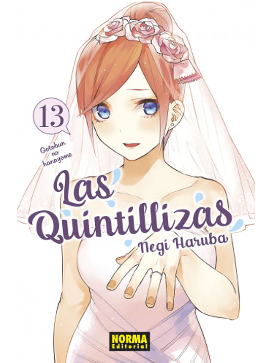 LAS QUINTILLIZAS 13 - NORMA 1