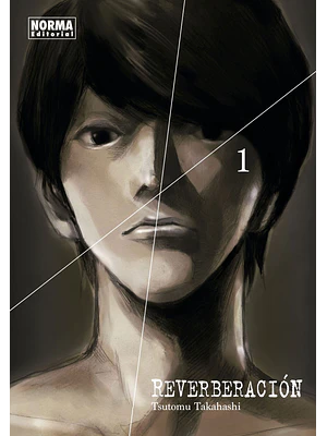 REVERBERACION 01 - NORMA