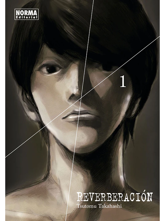 REVERBERACION 01 - NORMA 1