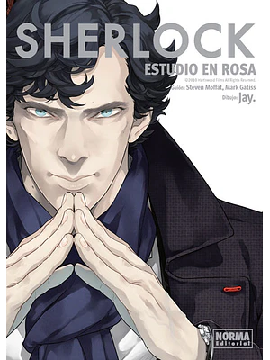 SHERLOCK ESTUDIO EN ROSA - NORMA