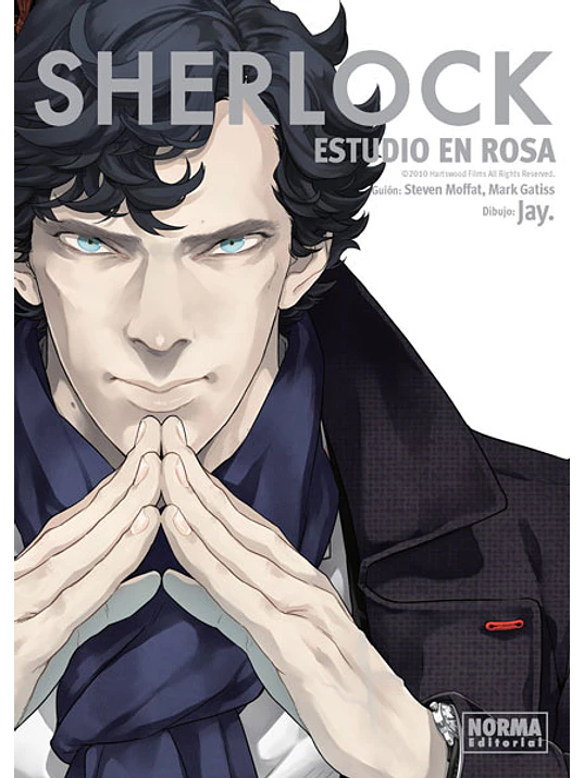 SHERLOCK ESTUDIO EN ROSA - NORMA 1