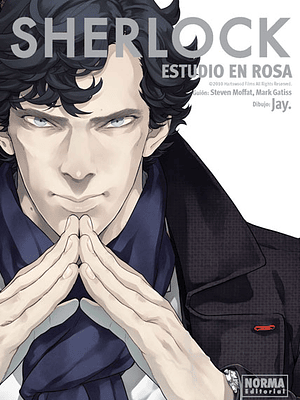 SHERLOCK ESTUDIO EN ROSA - NORMA