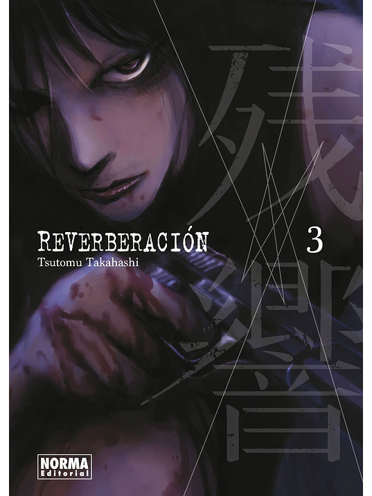 REVERBERACION 03 - NORMA 1