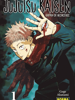 JUJUTSU KAISEN 01 - NORMA
