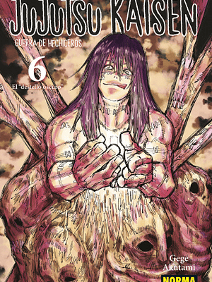 JUJUTSU KAISEN 06 - NORMA