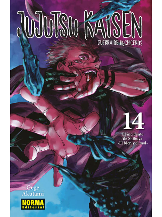 JUJUTSU KAISEN 14 - NORMA 1