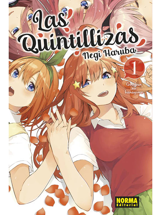 LAS QUINTILLIZAS 01 - NORMA 1