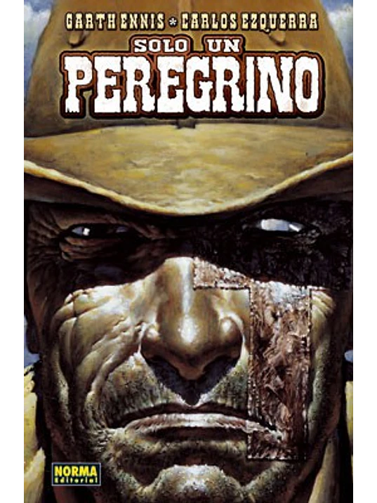 SOLO UN PEREGRINO - NORMA 1