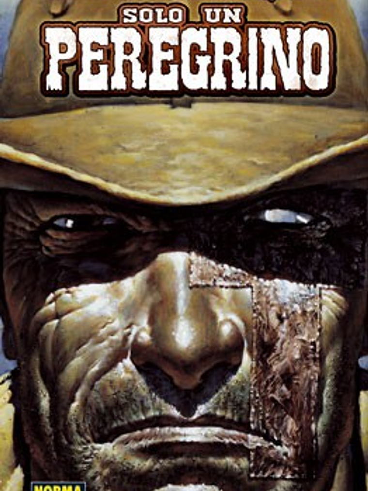 SOLO UN PEREGRINO - NORMA 1