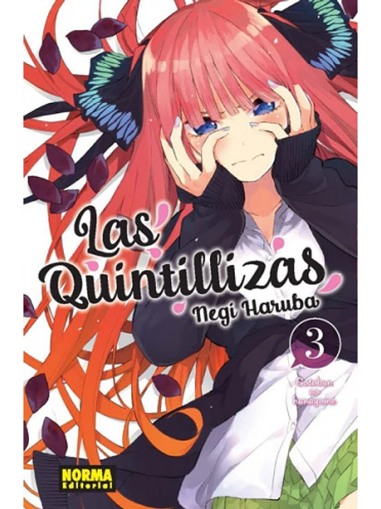 LAS QUINTILLIZAS 03 - NORMA 1