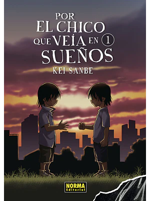 POR EL CHICO QUE VEIA EN SUENOS 01 - NORMA