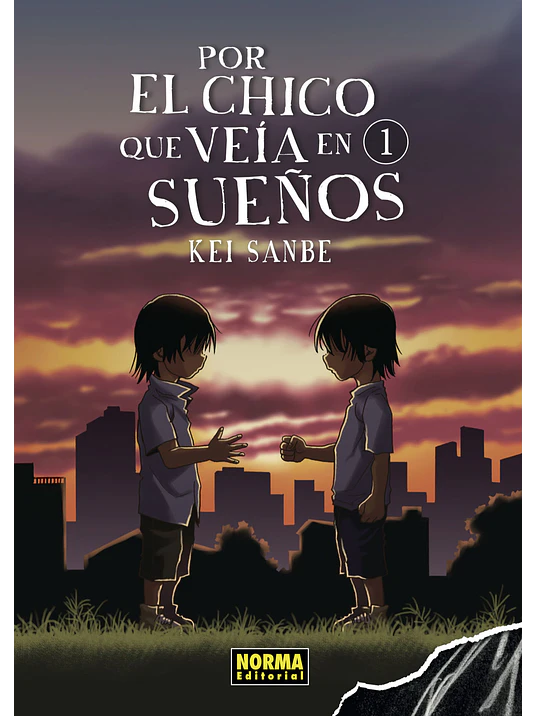 POR EL CHICO QUE VEIA EN SUENOS 01 EDICION ESPECIAL CON POSTAL - NORMA 1