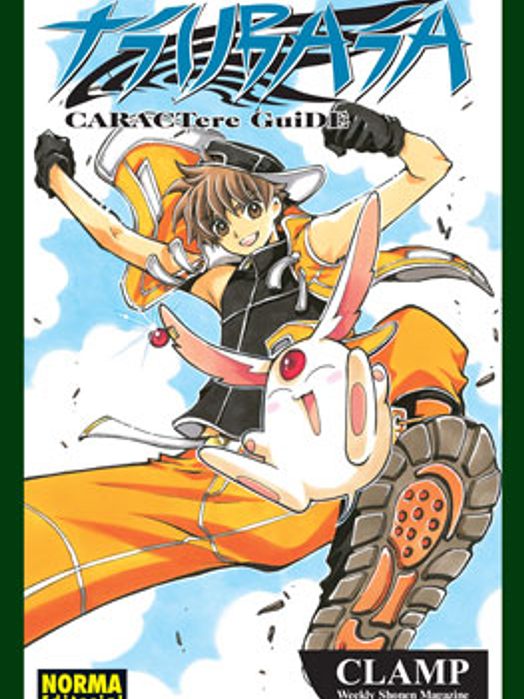 TSUBASA CARACTERE GUIDE 01 - NORMA 1