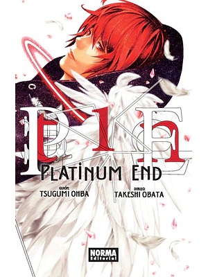 PLATINUM END 01 - NORMA