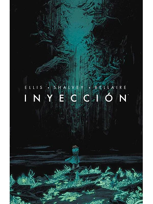 INYECCION 01 - NORMA