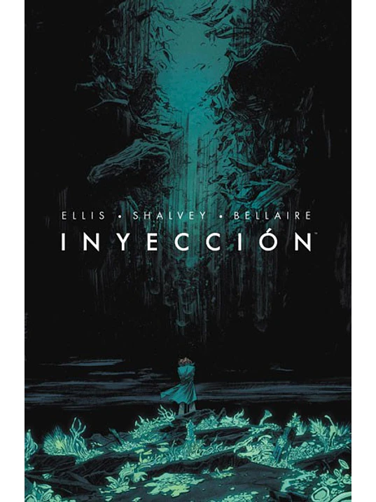 INYECCION 01 - NORMA 1