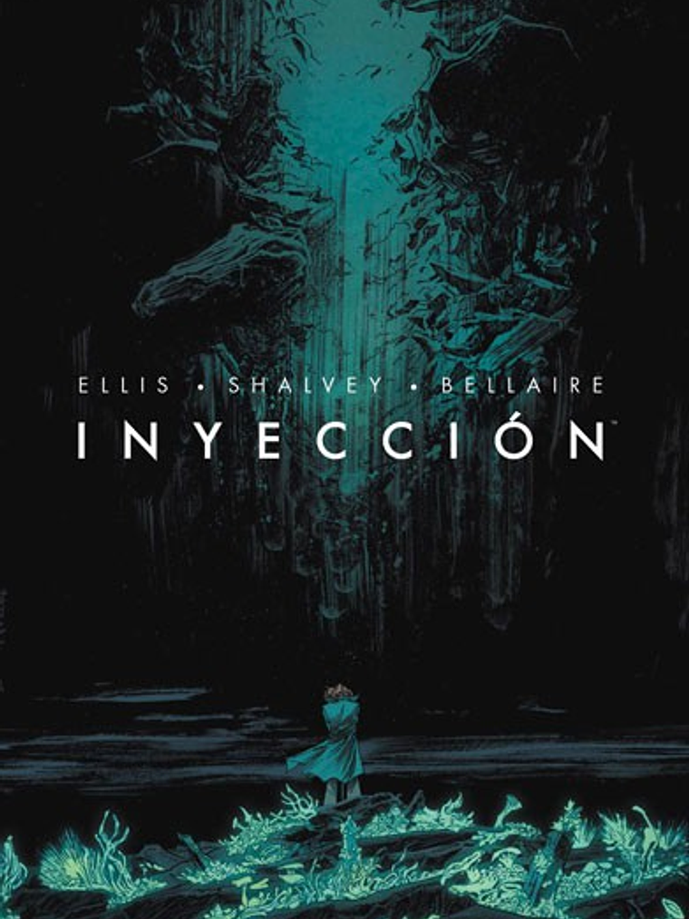 INYECCION 01 - NORMA 1