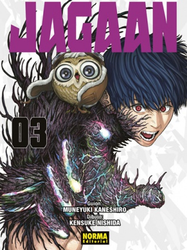 JAGAAN 03 - NORMA 1