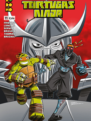 LAS NUEVAS AVENTURAS DE LAS TORTUGAS NINJA NUM. 11 - ECC