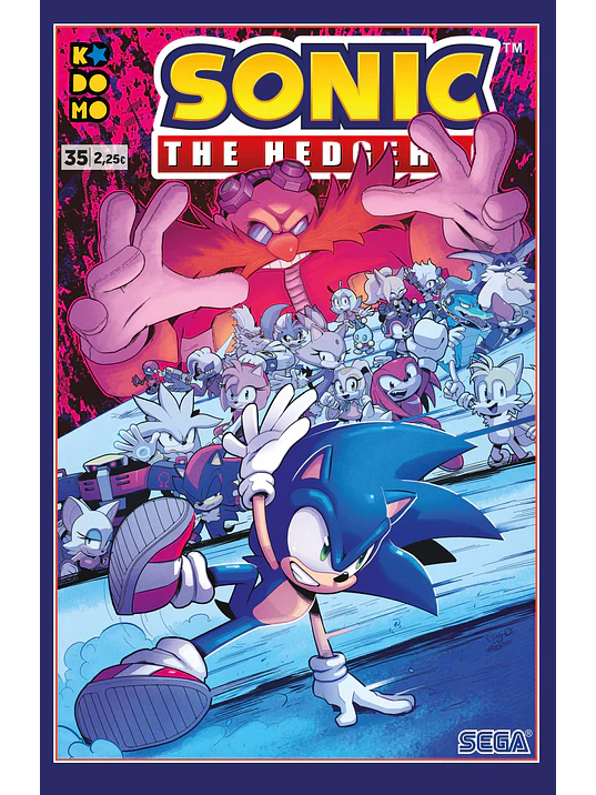 SONIC THE HEDGEHOG NUM. 35 - ECC 1